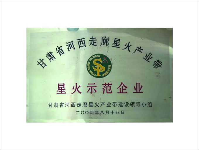 甘肃省河西走廊星火示范企业