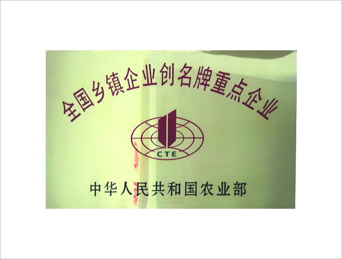 全国乡镇企业创名牌重点企业